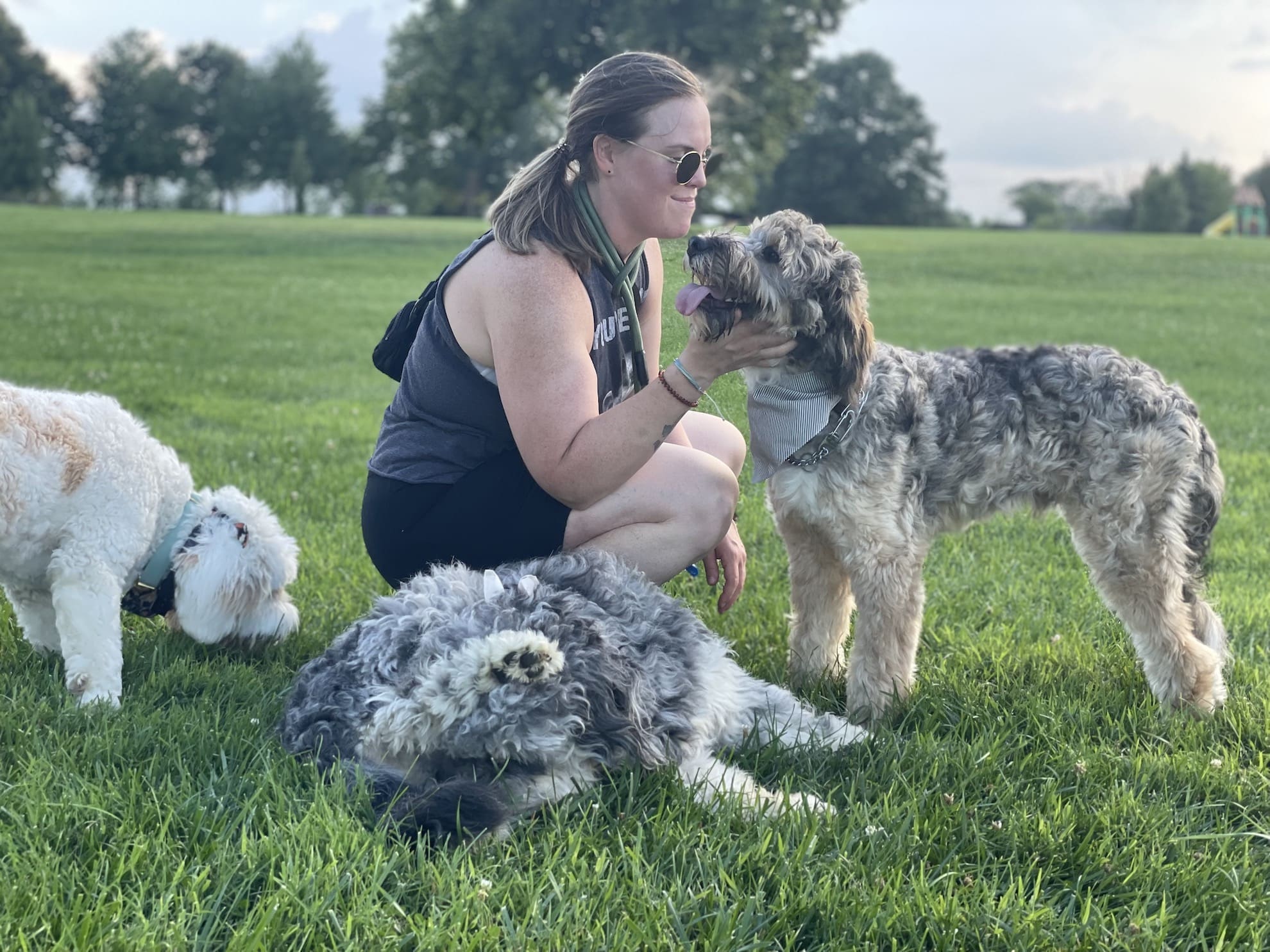 Dog Behavior Modification